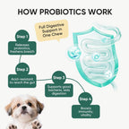 Authentic USA imported TzzyiC probiotic chews for dog diarrhea and itch relief.