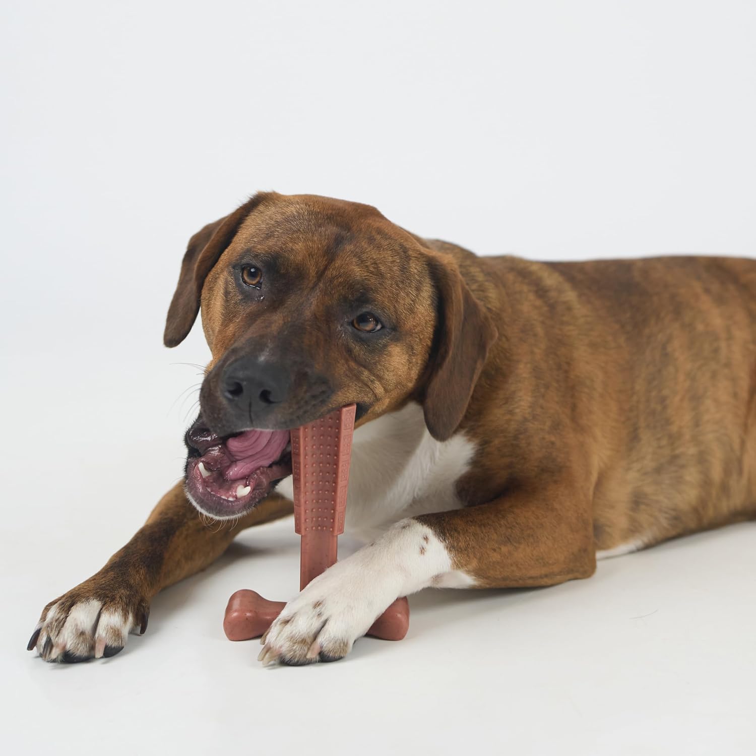 SPOT Bam-Bones Plus T Bone - Bamboo Fiber & Nylon Dog Chew Toy for Moderate to Aggressive Chewers, Durable Long Lasting & Non-Splintering, Beef Flavor Toy for Adult Dogs & Puppies Under 60 lbs, 6 in - Image 13