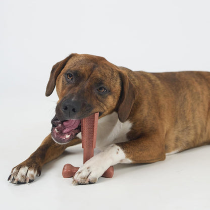 SPOT Bam-Bones Plus T Bone - Bamboo Fiber & Nylon Dog Chew Toy for Moderate to Aggressive Chewers, Durable Long Lasting & Non-Splintering, Beef Flavor Toy for Adult Dogs & Puppies Under 60 lbs, 6 in - Image 13