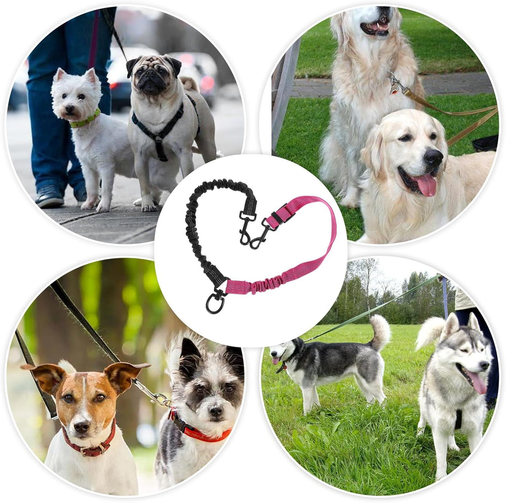 Packaging layout of the Molain double dog leash lead showcasing the premium nylon build.
