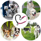 Packaging layout of the Molain double dog leash lead showcasing the premium nylon build.