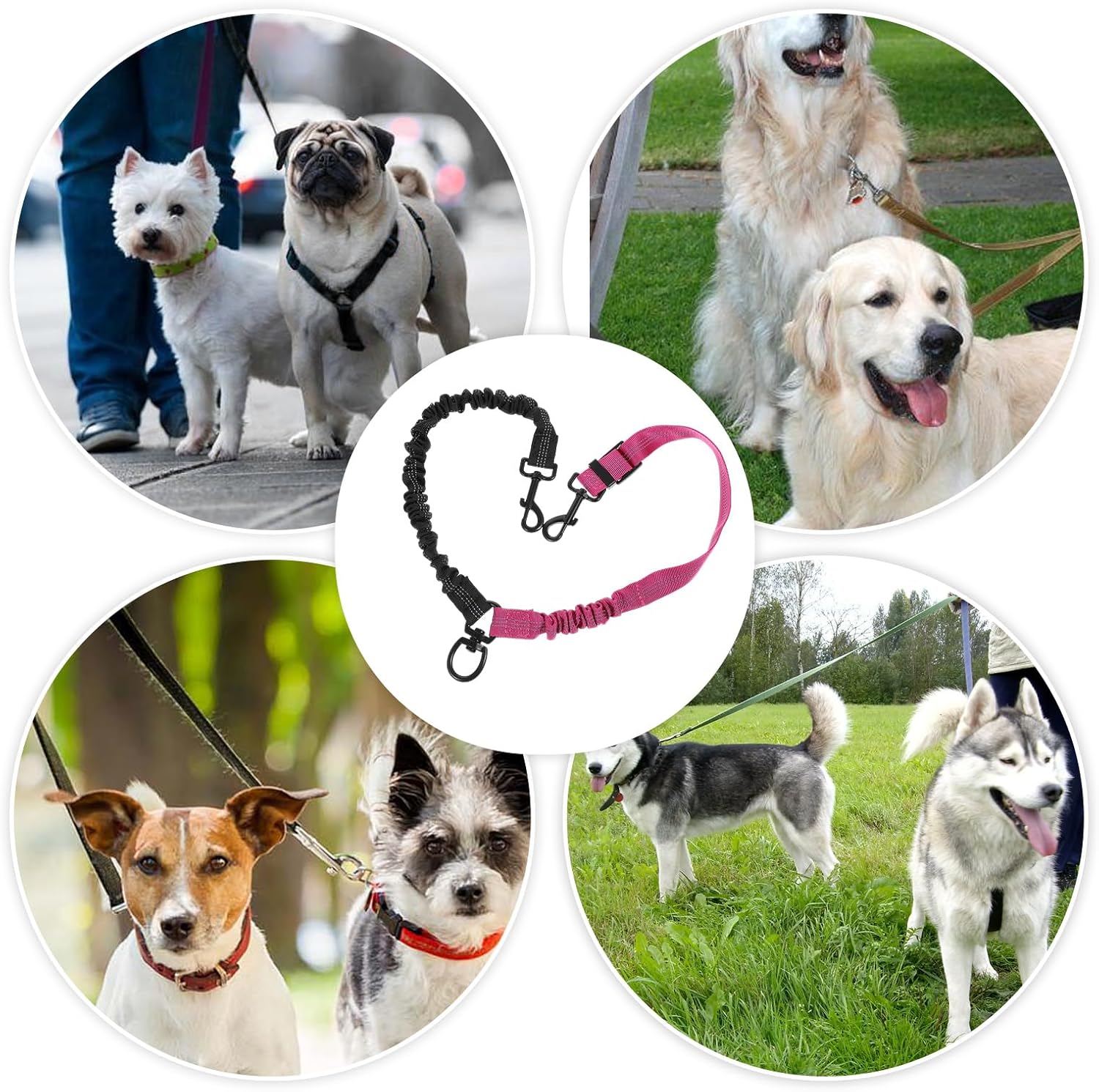 Packaging layout of the Molain double dog leash lead showcasing the premium nylon build.