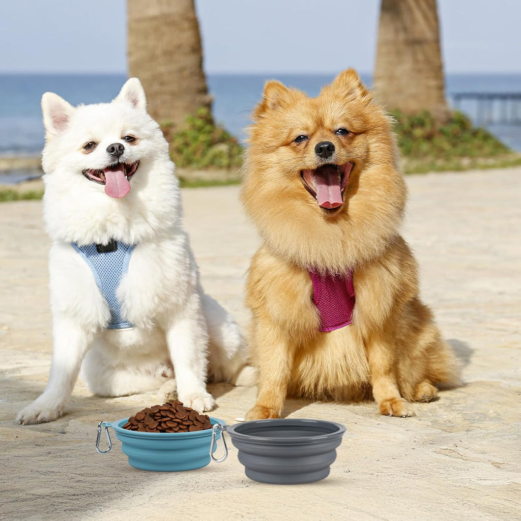 Kytely travel water bowl side view demonstrating the expandable silicone tiers.
