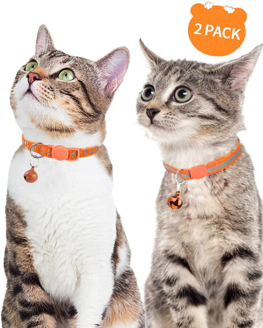Two pack of adjustable nylon Taglory kitten collars in bright orange showing the detachable tracking bells.