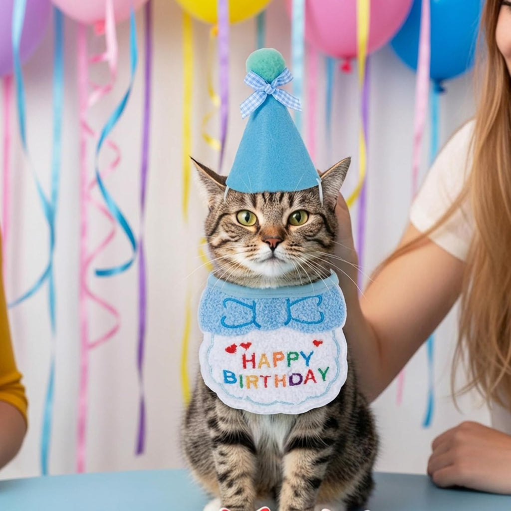 Matching cat birthday hat and bandana scarf accessory
