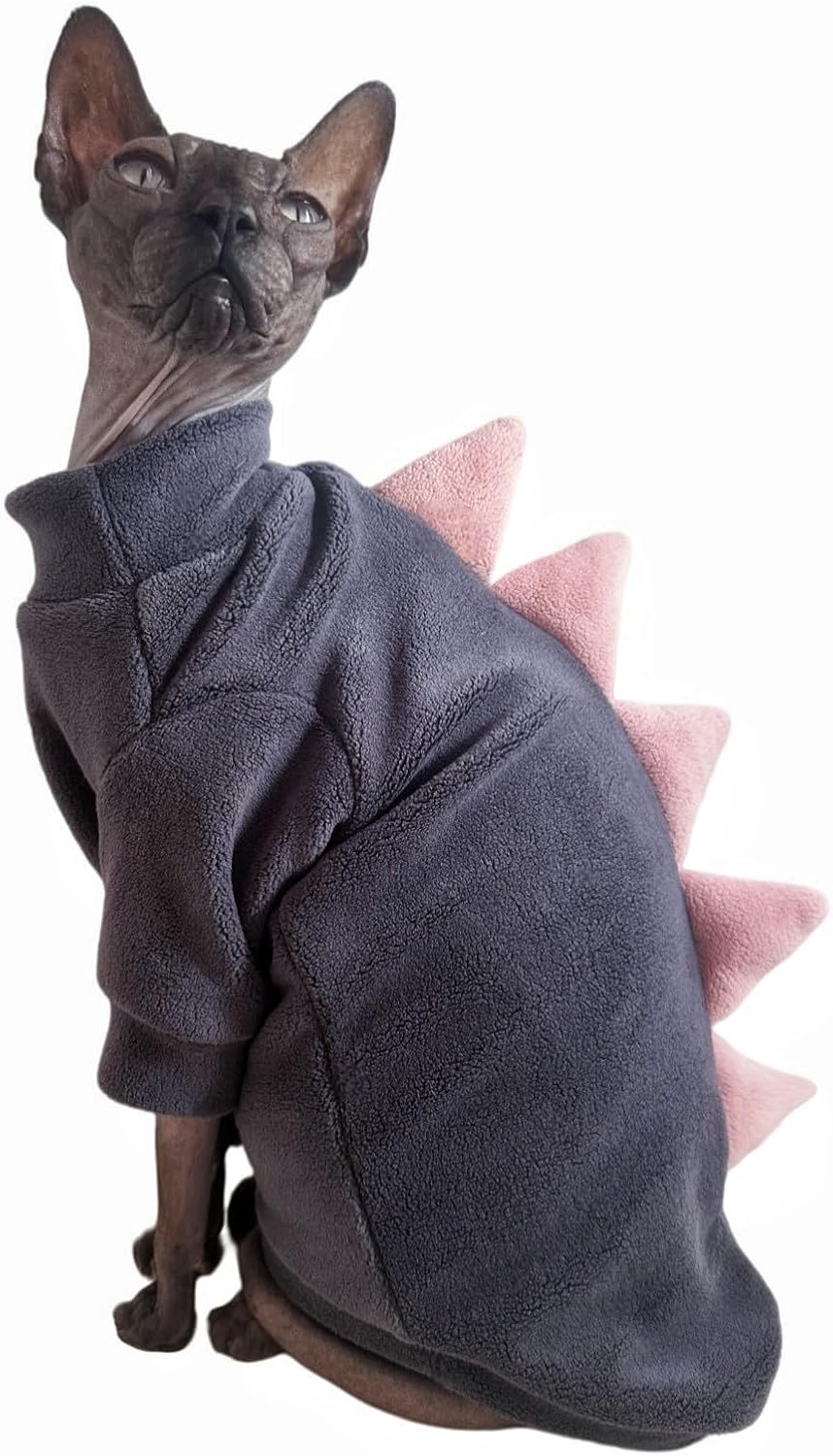 Back view of cute blue dinosaur sweater for hairless cats