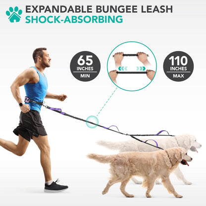 PetAmi purple hands free pet leash showing high visibility reflective stitching details.