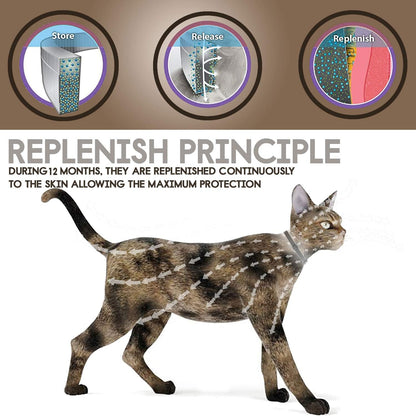Parenda adjustable waterproof cat flea collar on a cat