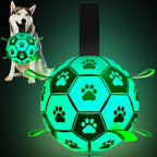 Waterproof Amasiver dog ball floating in water