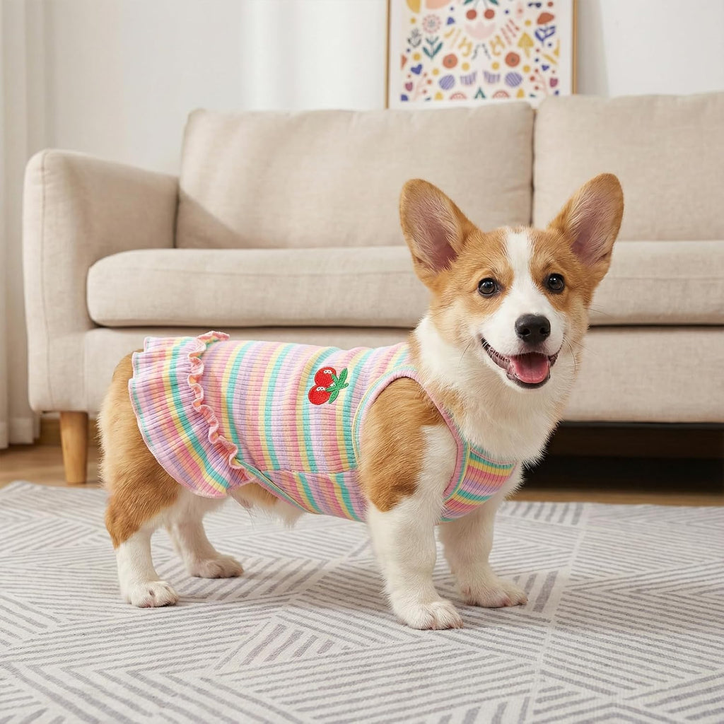 Authentic Jmkcoz cherry puppy dress folded neatly highlighting breathable fabric