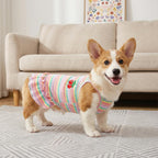 Authentic Jmkcoz cherry puppy dress folded neatly highlighting breathable fabric