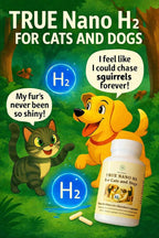 True Nano H2 pet health supplement 120 count bottle