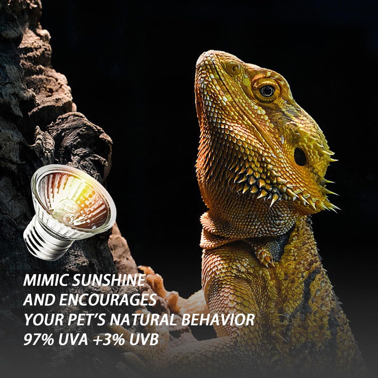 KOHEOPT fifty watt halogen reptile heat bulb illuminating a turtle tank habitat setup