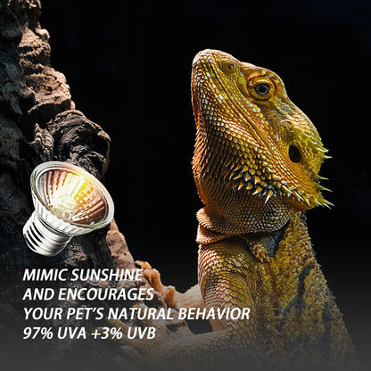 KOHEOPT fifty watt halogen reptile heat bulb illuminating a turtle tank habitat setup