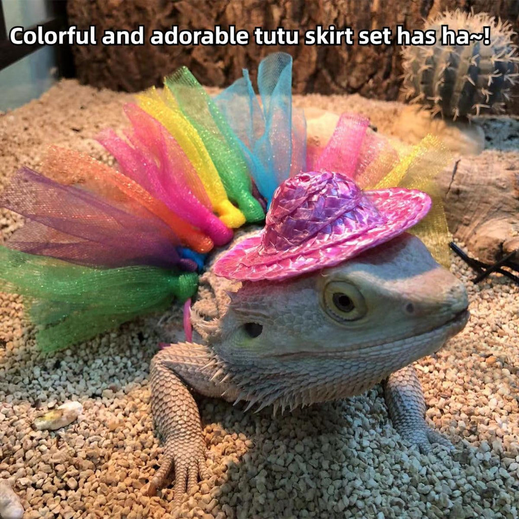 Layered rainbow tutu dress design detail for small exotic pet clothing