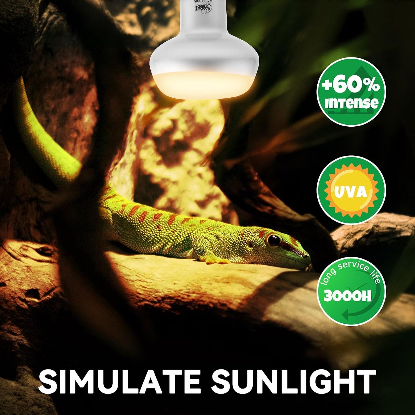 Lucky Herp 100 Watts reptile heat lamp bulb close up showing the flat bottom design.