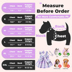 PETCARE female pet apparel set with matching leash and bow