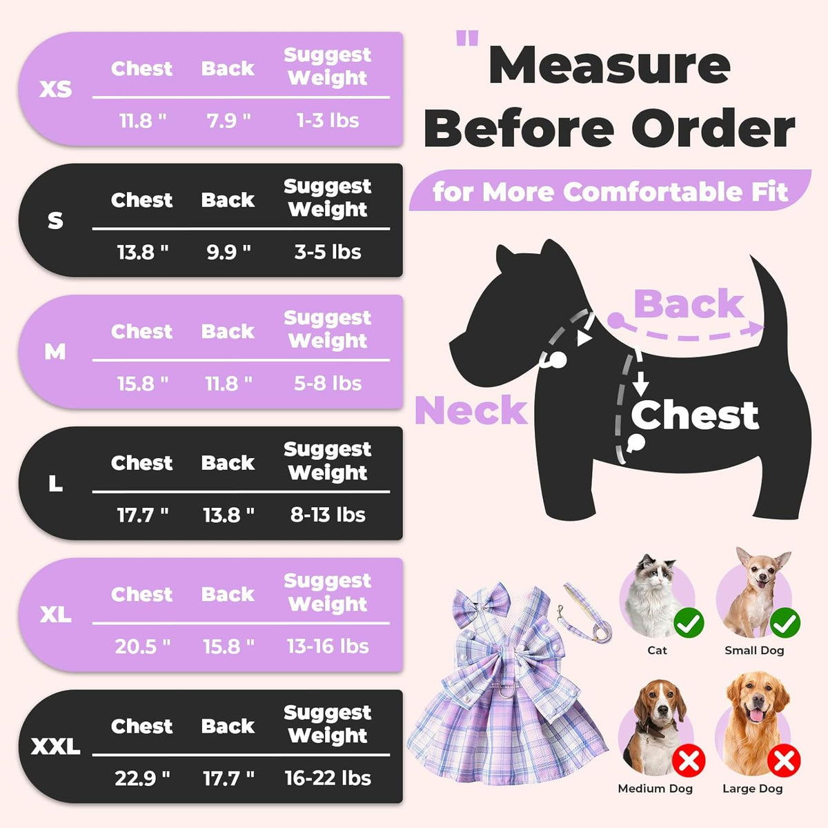 PETCARE female pet apparel set with matching leash and bow