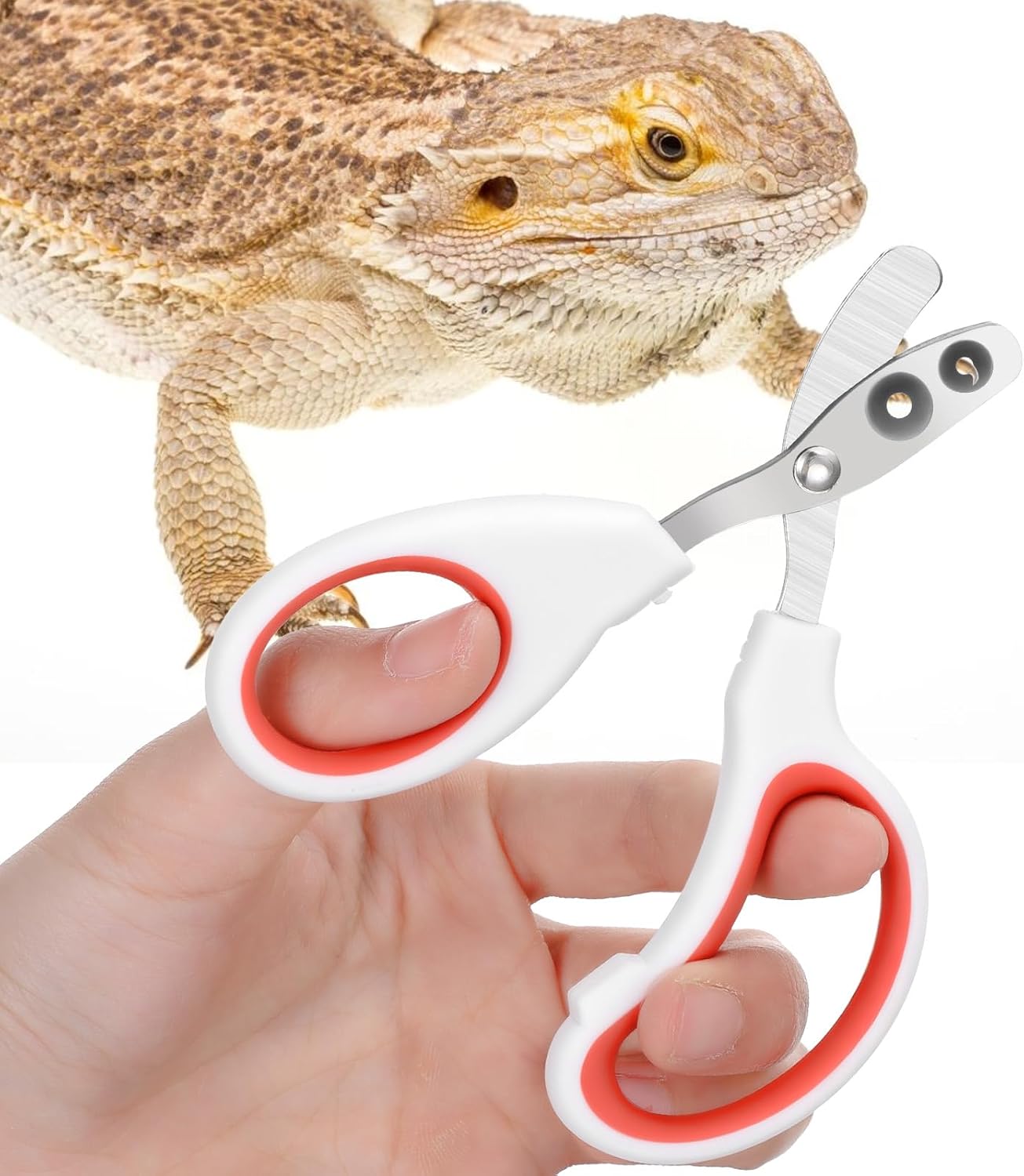 Quilax Stainless Steel Bearded Dragon Nail Clippers front view showcasing the white handle with red accents.