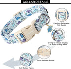 Small dog wearing blue dinosaur print collar