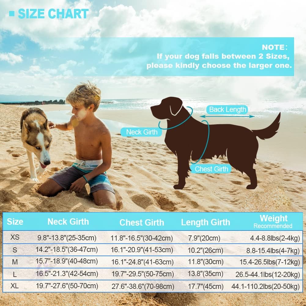Imported EMUST dog life vest pool blue medium size side profile