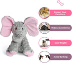 DODODOLA natural plush dog toy for small and medium breeds