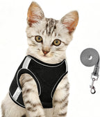 AVCCAVA secure cat walking harness displaying the metal D-ring attachment