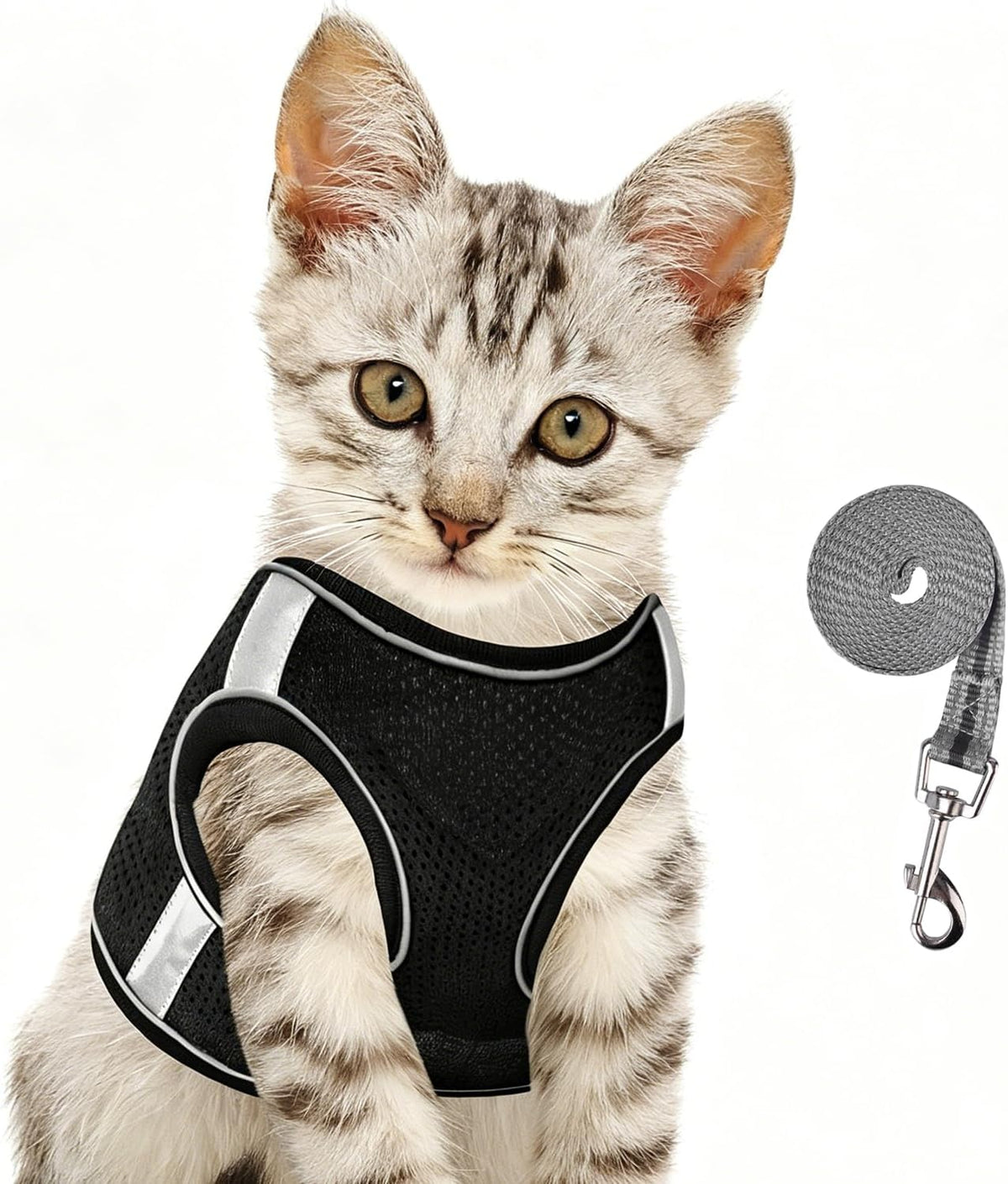 AVCCAVA secure cat walking harness displaying the metal D-ring attachment