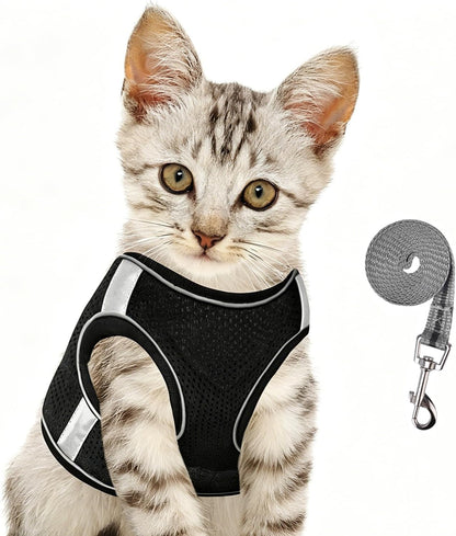 Black extra small escape proof harness for small kittens