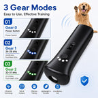 Handheld dog training tool for indoor and outdoor use