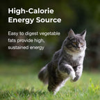 Easy to digest high calorie cat gel for weight gain
