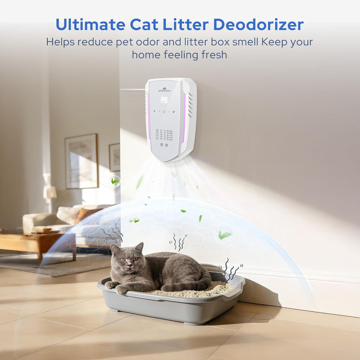 Filterless ozone generator pet odor eliminator in home kitchen