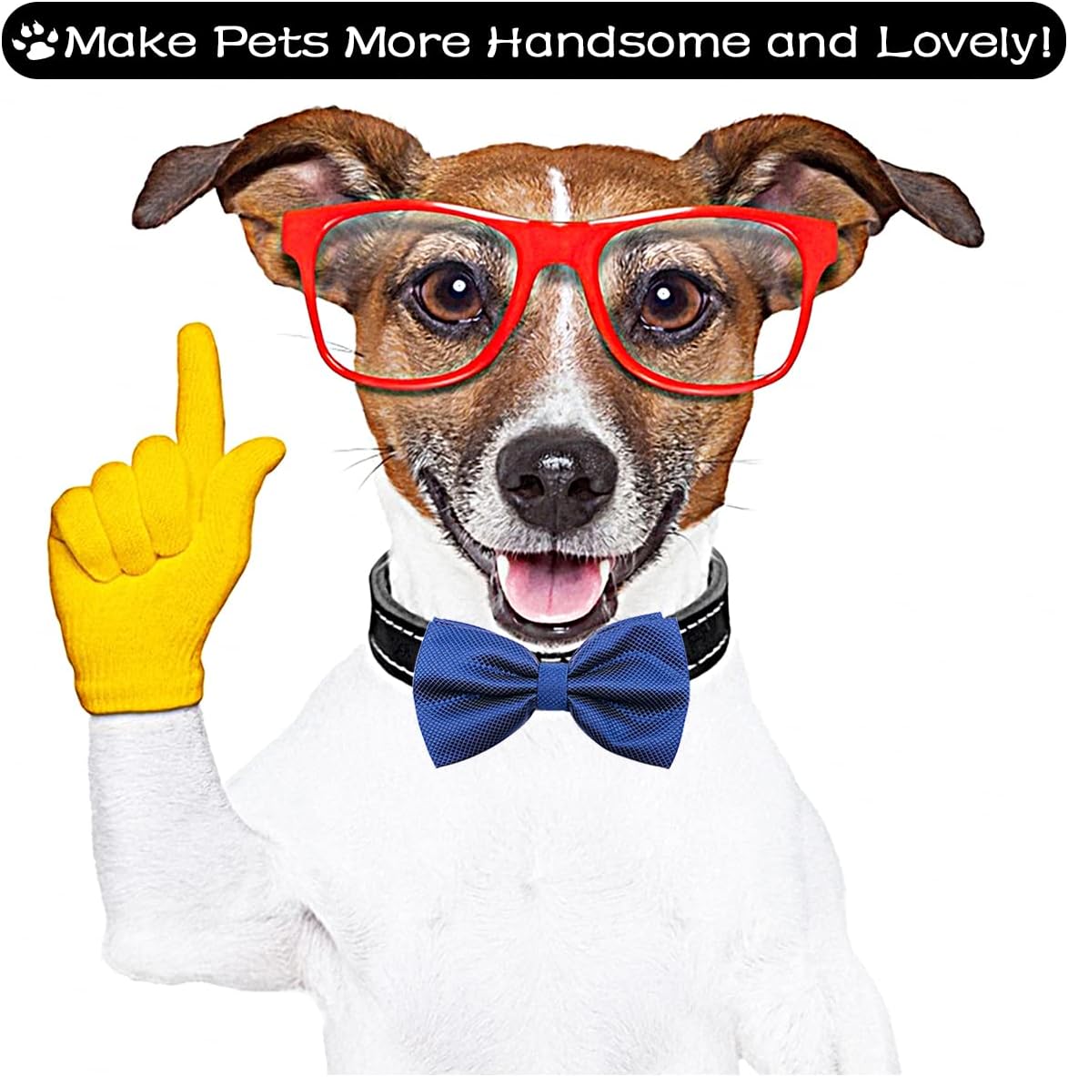 Premium wholesale package of ten unique pet grooming slides and charms