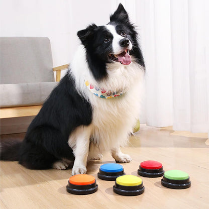 Overhead view of the colorful Zzhxkjhky dog talking buttons package content.