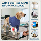 Premium imported USA pet medical care suit for large breed arthritis protection
