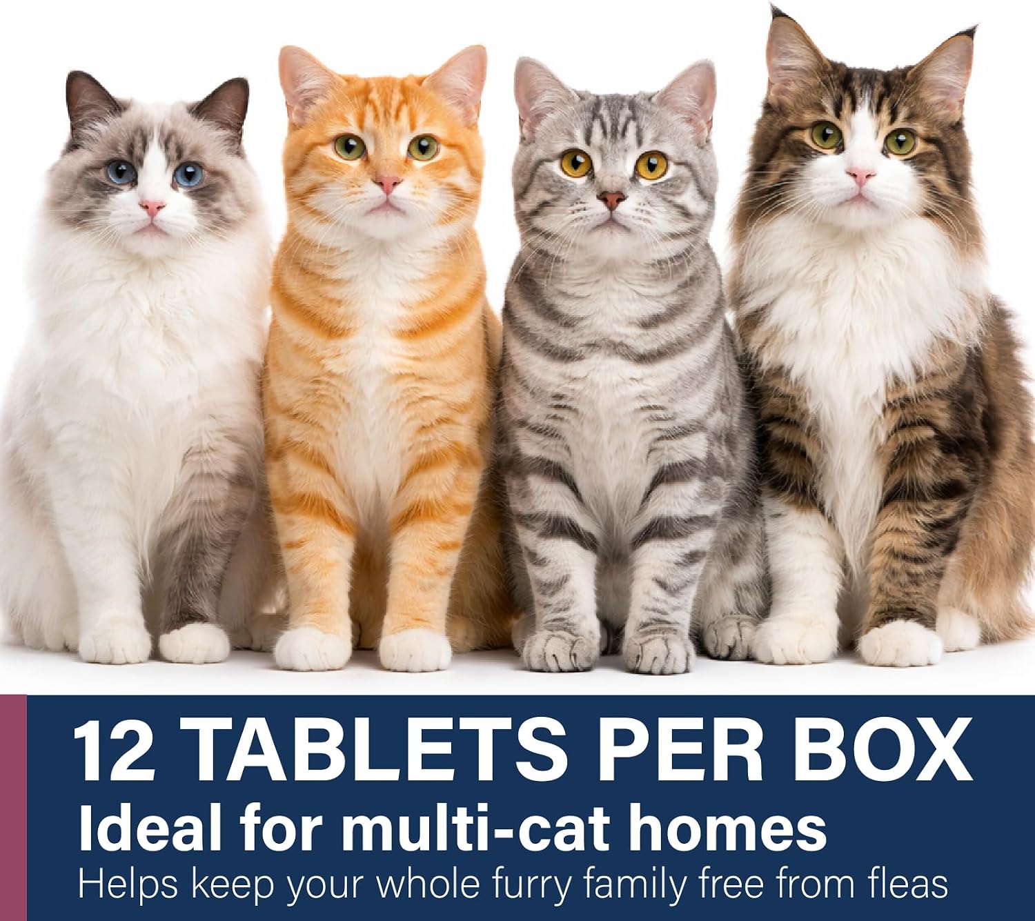 Twelve dose pack of Capstar oral flea treatment for cats opened box display
