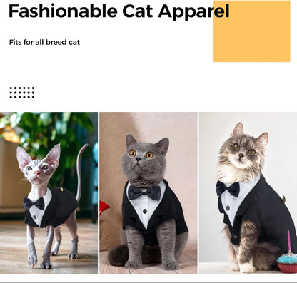 Button closure detail on Dentrun hairless cat apparel