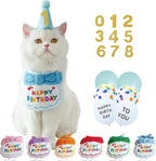 Paonex blue cat birthday hat and bandana set
