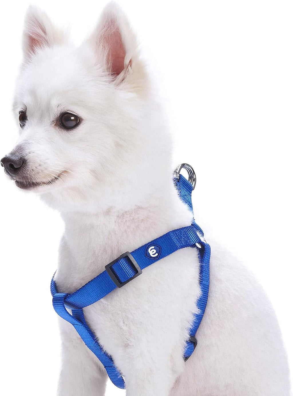 High density nylon webbing texture of Blueberry Pet dog harness