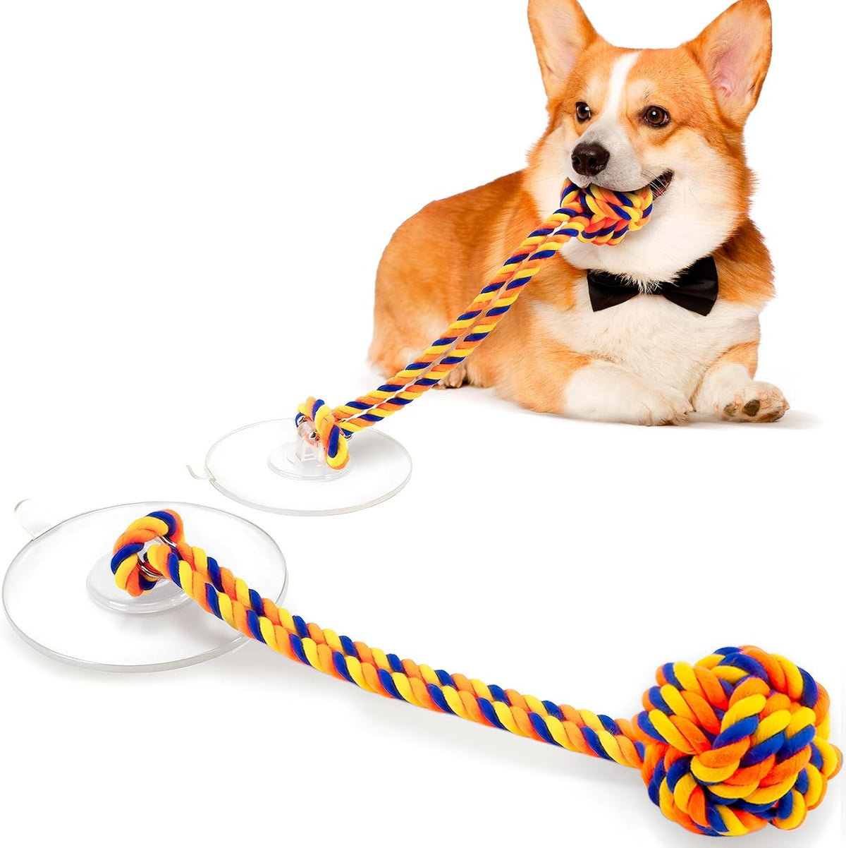 Interactive Dog Toys to Keep Them Busy, Tug of War, Dog Enrichment Toys for Aggressive Chewers, Puppy Teething Toys,Durable Rope & Chew Ball, Indoor Toys Small DogsRainbow - Image 12