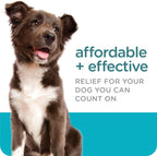 Sergeant's Guardian waterproof flea and tick treatment for puppies over 12 weeks