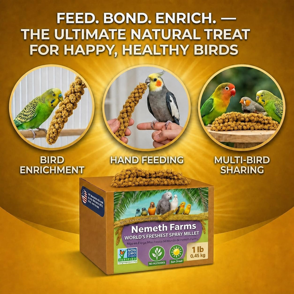 Nemeth Farms Spray Millet - Edible Tops Only, Non-GMO and Sun-Dried - 1 lb for Parakeets, Canaries and Finches - Image 7