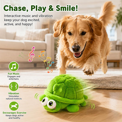 Interactive self play dog toy with bouncing ball and USB charging cable