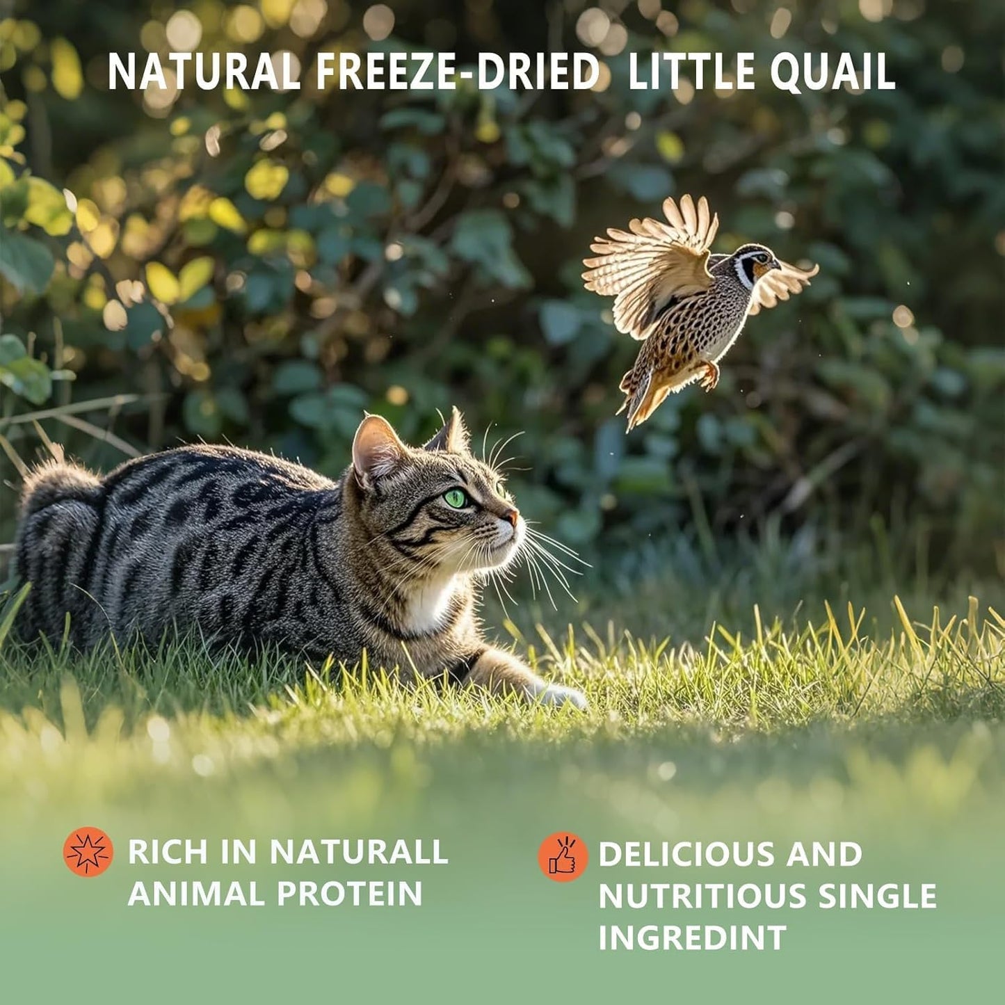 Healthy low fat high protein whole animal prey snacks for pet dental health support