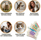 Set of 6 Glaciart One interactive kitten toys