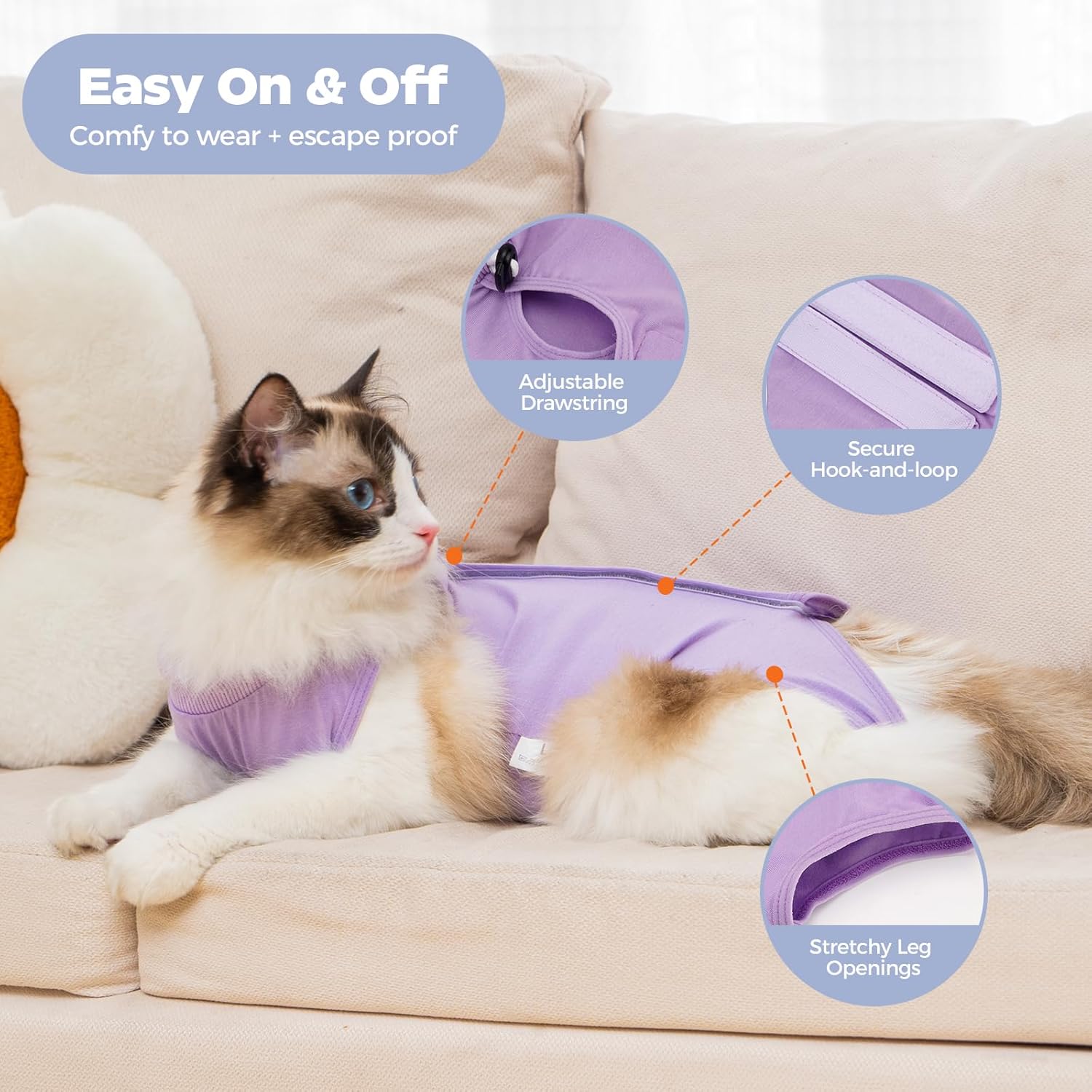 Cat wearing purple Avont recovery suit resting