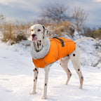Packaging and features of authentic imported Lelepet dog gear