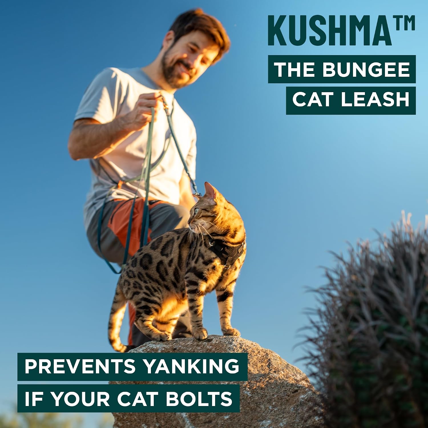 OutdoorBengal Kushma navy blue dog and cat leash