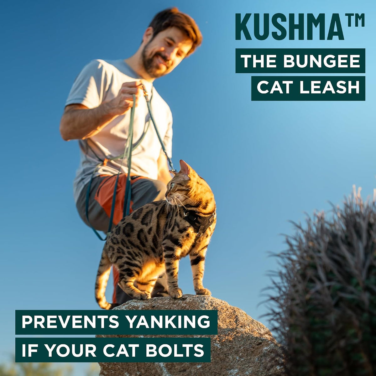 OutdoorBengal Kushma navy blue dog and cat leash