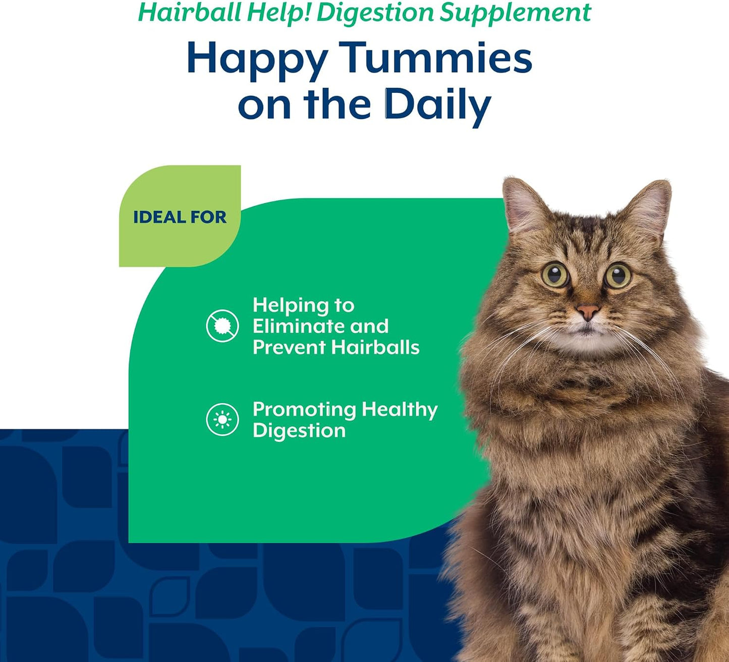Back label of NaturVet Scoopables Hairball Aid displaying active ingredients like psyllium husk and pumpkin.